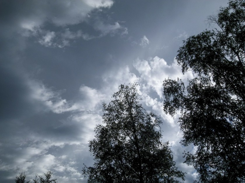  تصویری از ابرهای تیره در پشت برخی از درختان. 